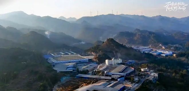 15天完成首单出口！黔西南板材叩开东南亚市场大门(图2)