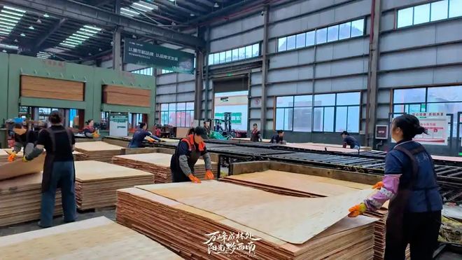 15天完成首单出口！黔西南板材叩开东南亚市场大门(图3)