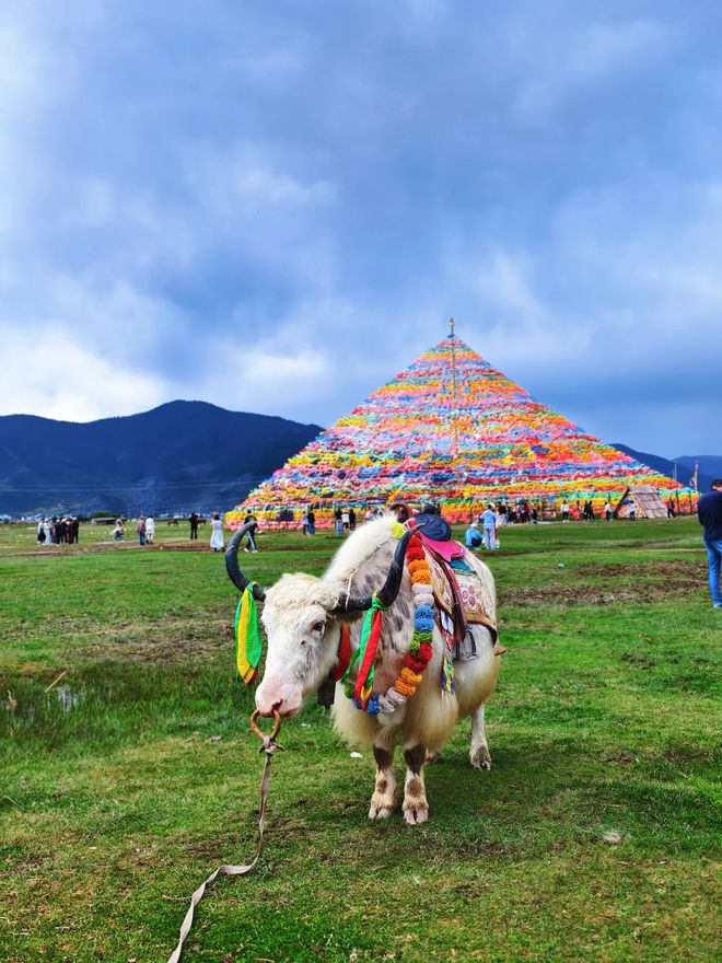 2025云南西双版纳旅行社前十强靠谱榜单：正规资质+百万好评！kaiyun体育全站(图2)