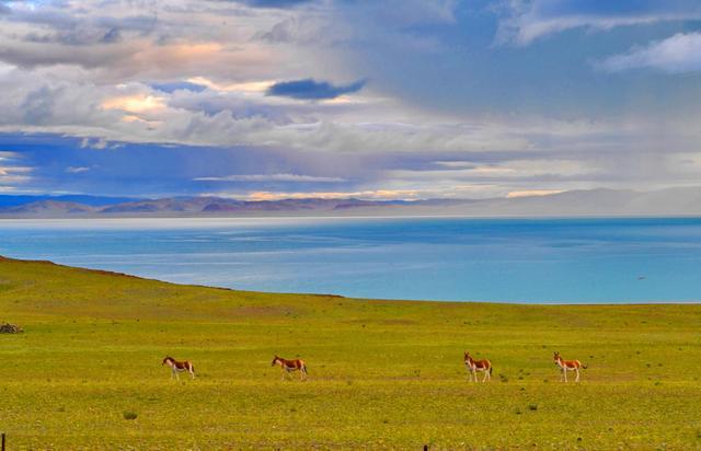 开云体育今天你独自就餐了吗(图2)