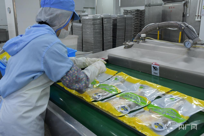 kaiyun体育全站行进的海岸线｜潮起三都澳：一尾“金黄”跃居全国八成市场(图3)