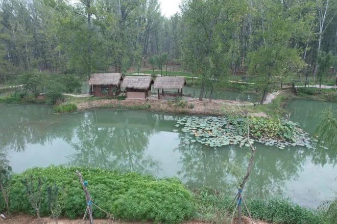 伊滨年产30万套钢制家具项目公示；河南簇昌中标洛龙微度假综合体项目(图5)