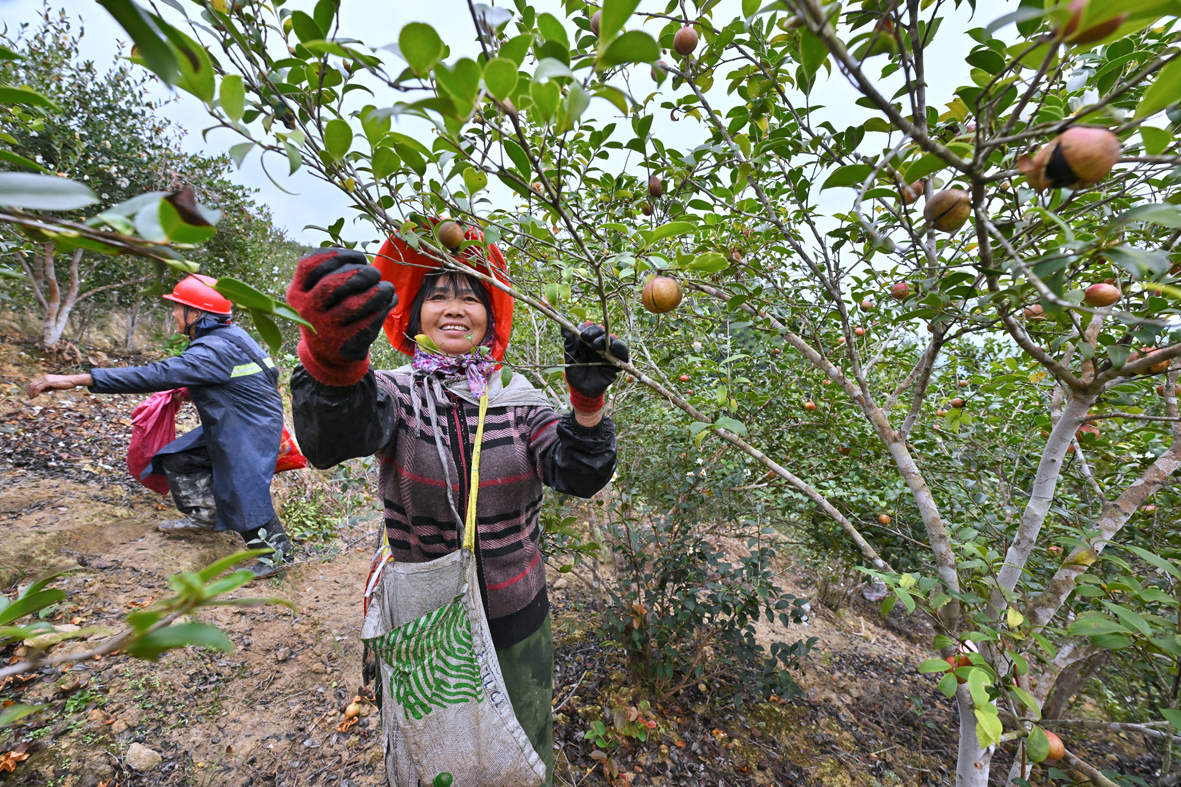 开云体育乡村旅游特色产业三产融合(图1)