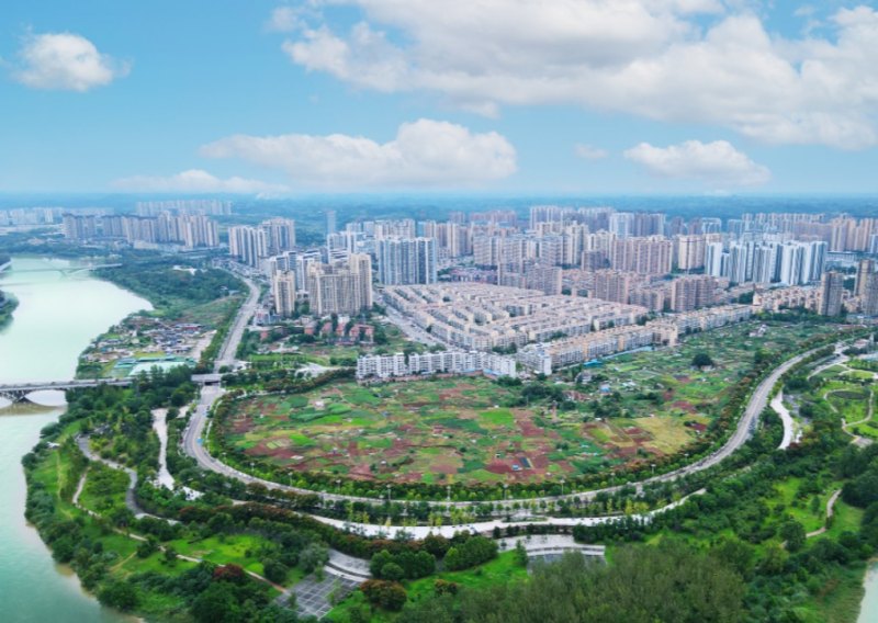 从“过境不留”到“近悦远来”看资阳雁江服务业如何“加速”生长(图1)