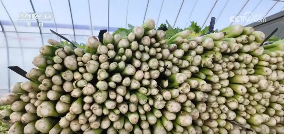 各地冬日果蔬供应量足价稳丰富节日期间百姓“菜篮子”“果盘子”(图2)