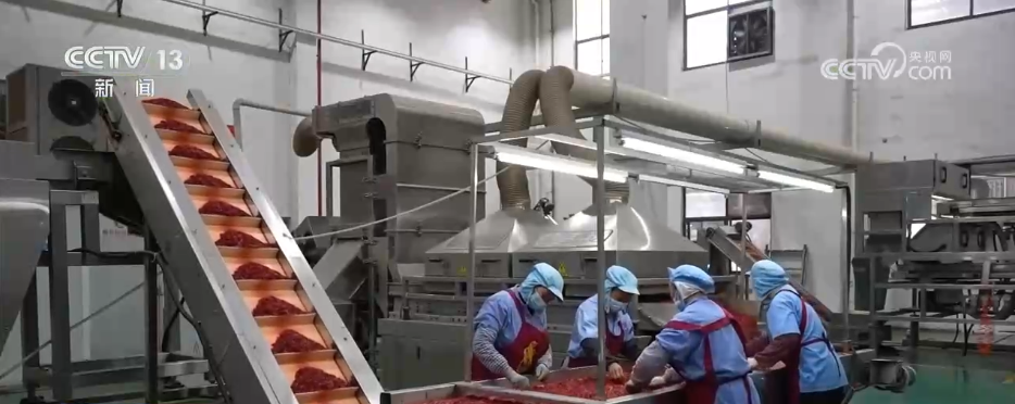 各地冬日果蔬供应量足价稳丰富节日期间百姓“菜篮子”“果盘子”(图9)