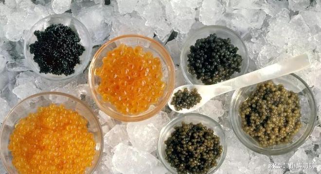 欧媒：拜中国所赐西方终于人人吃得起鱼子酱了但这是好事吗？(图10)