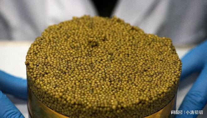 欧媒：拜中国所赐西方终于人人吃得起鱼子酱了但这是好事吗？(图9)