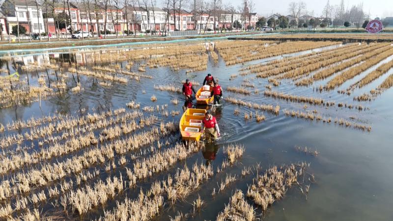 kaiyun体育全站“红”动天下——“潜江龙虾”产业的全球化突围征程(图3)