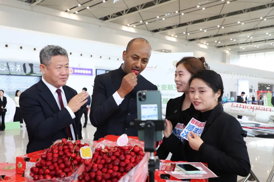 翼展宏图行稳致远——鄂州花湖国际机场2025年发展纪实(图6)