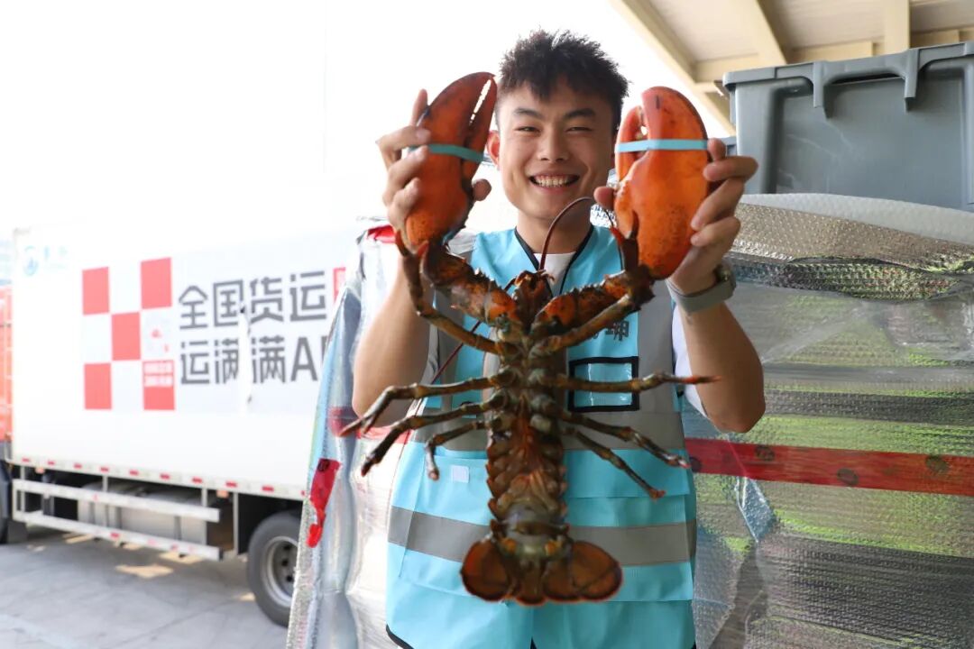 翼展宏图行稳致远——鄂州花湖国际机场2025年发展纪实(图8)