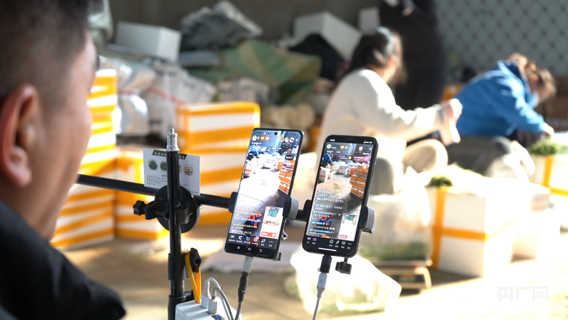 【家有喜事】沙葱绿了日子红了！(图3)