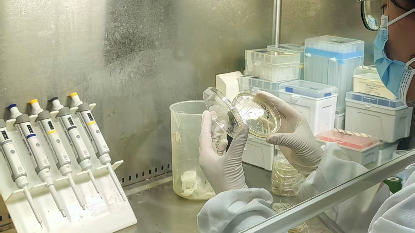 kaiyun体育全站江西率先量产“未来蛋白”开启健康饮食新纪元(图3)