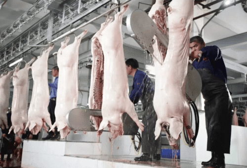 开云体育大湾区“国资巨头”的豪赌：用地产的钱赌一张餐桌的牌(图2)