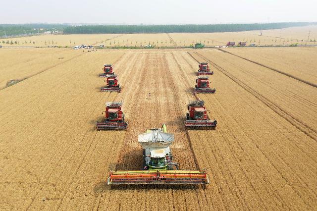 开云体育河南馒头冲上热搜外地网友：我急需一个河南朋友(图4)