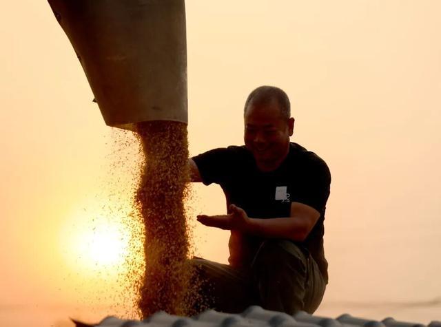 开云体育河南馒头冲上热搜外地网友：我急需一个河南朋友(图5)