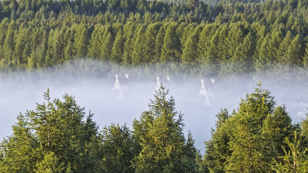 春已至！“植”绿山河(图3)