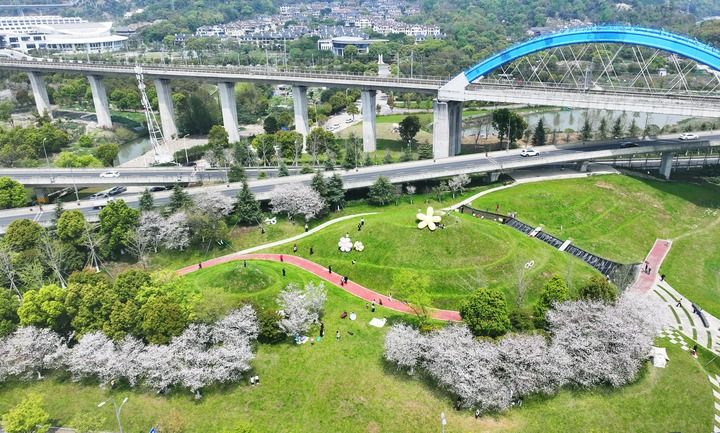 春已至！“植”绿山河(图4)