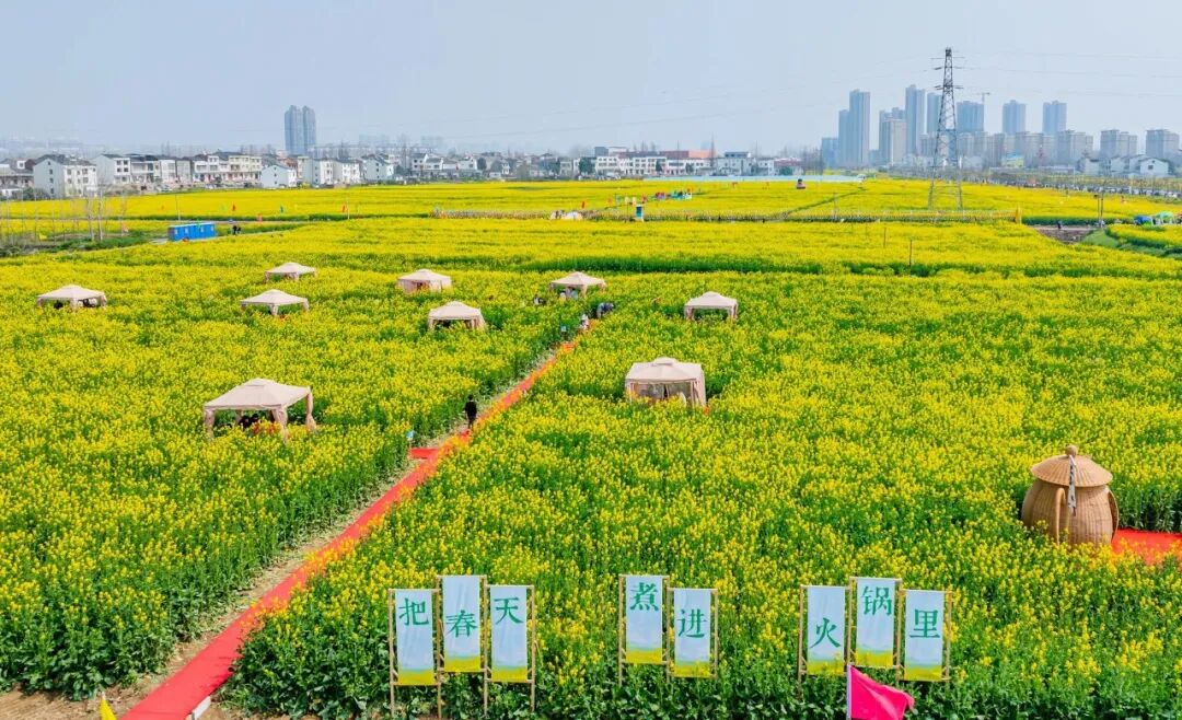 kaiyun体育全站这些爆火的「春日经济」可不只是新“花”样丨南财号热话(图4)