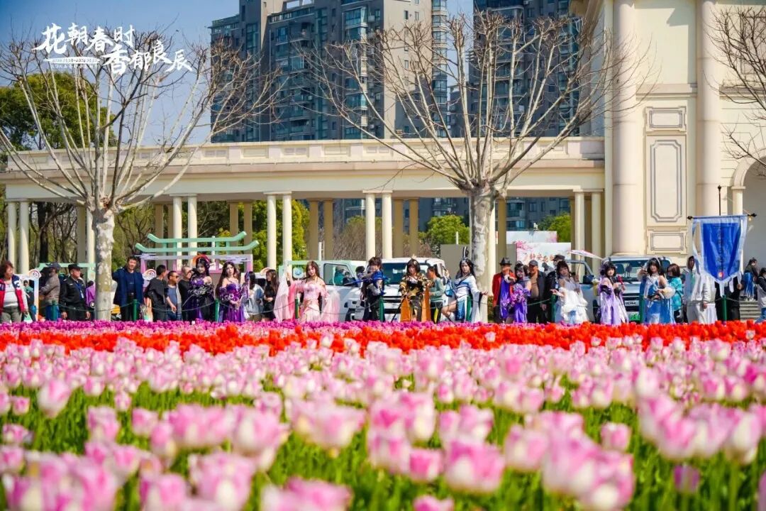 kaiyun体育全站这些爆火的「春日经济」可不只是新“花”样丨南财号热话(图8)