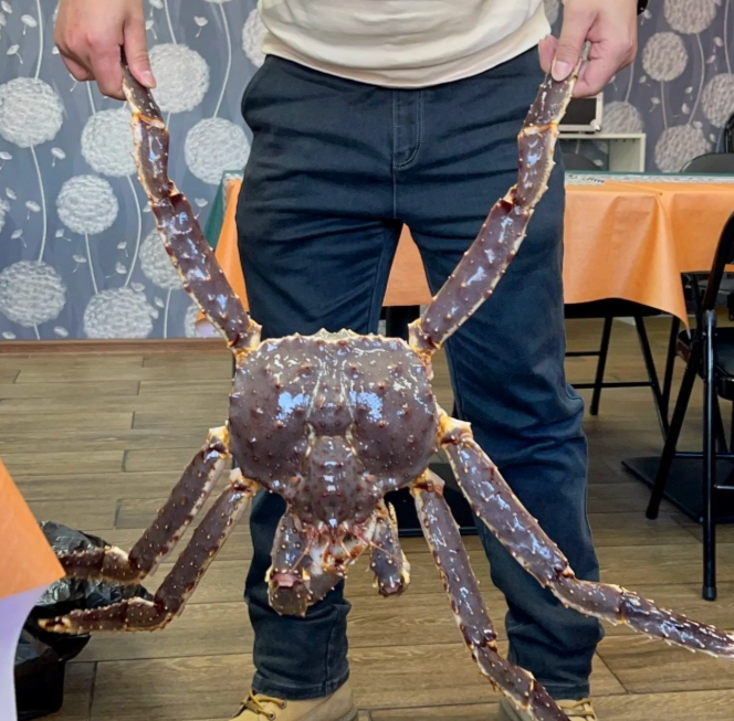 kaiyun体育网页版数读中国开局新活力同比增长431%！不靠海的海鲜城实现鲜活海产品贸易领跑全国(图2)