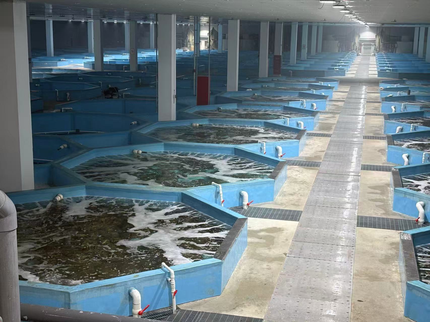 kaiyun体育网页版数读中国开局新活力同比增长431%！不靠海的海鲜城实现鲜活海产品贸易领跑全国(图5)