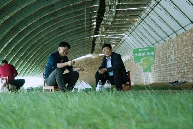 “北菜南运”沙漠菜丰盛了谁的餐桌？(图9)