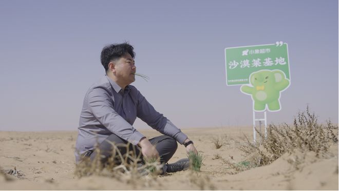 “北菜南运”沙漠菜丰盛了谁的餐桌？(图6)