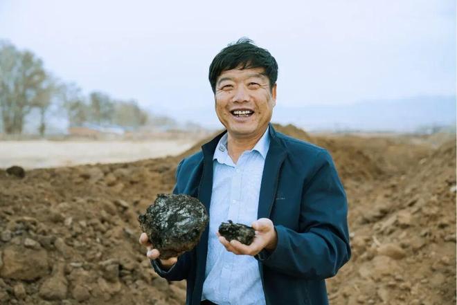 “北菜南运”沙漠菜丰盛了谁的餐桌？(图2)