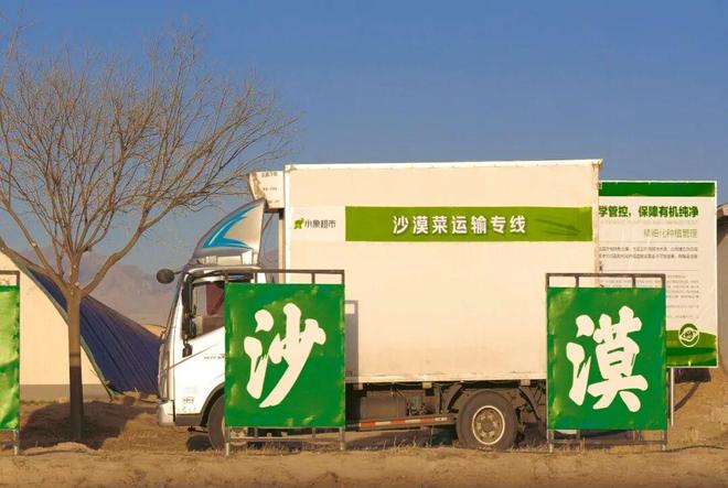 “北菜南运”沙漠菜丰盛了谁的餐桌？(图4)